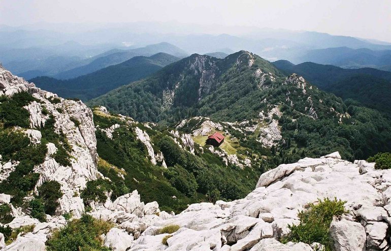 Risnjak